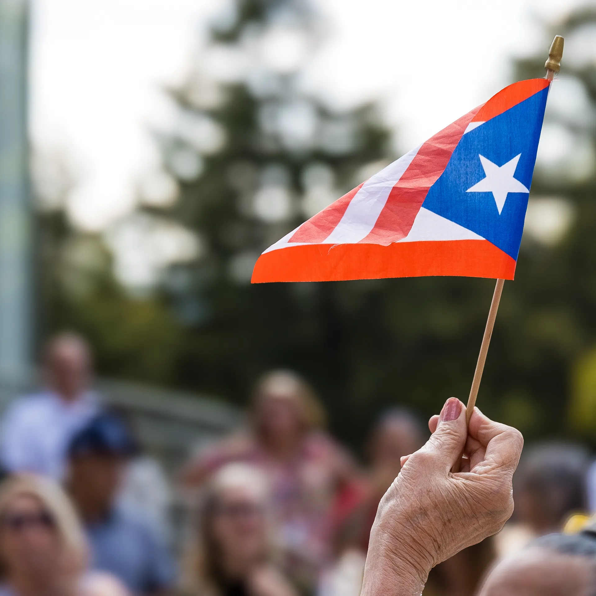 patills puerto rico flag raising bethlehem pa sister city