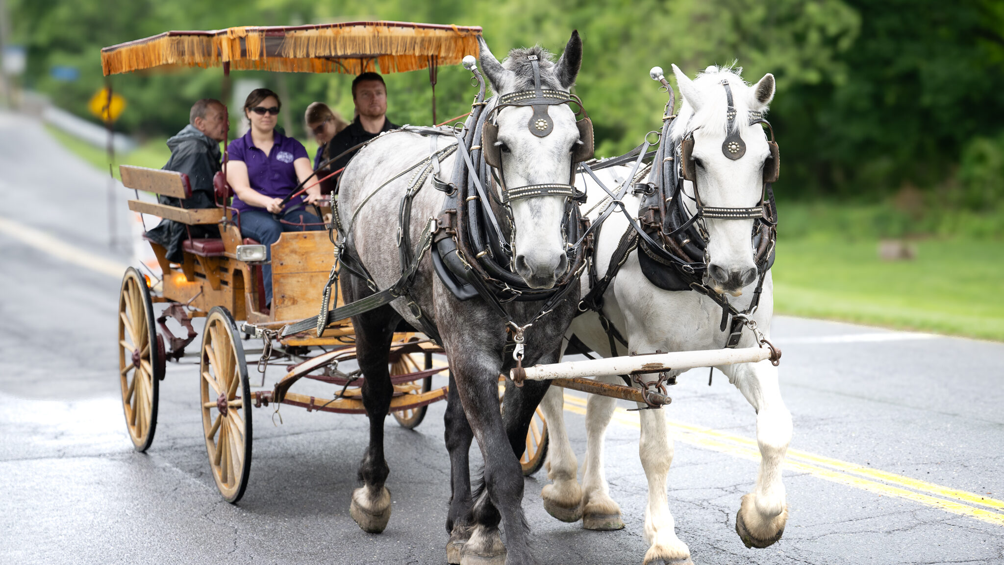 hellertown heritage day event celebration lisa boehm photography