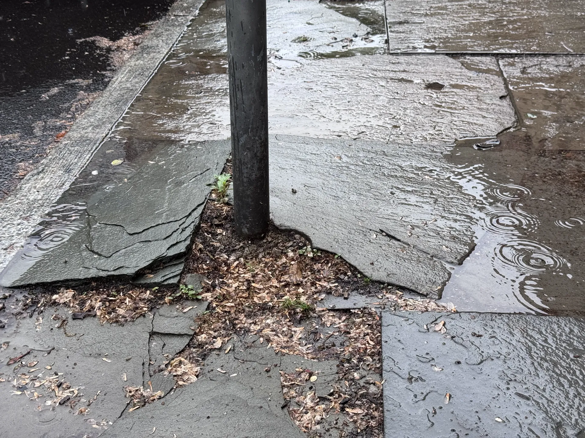 city council aims to address crumbling sidewalks and beautify main street