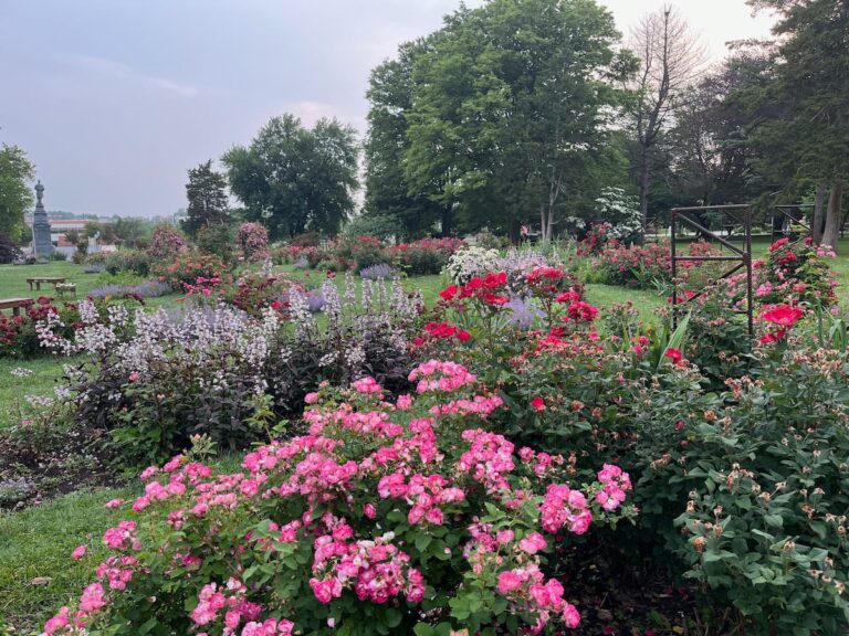 Bethlehem Rose Garden Farmers Market opens for the season