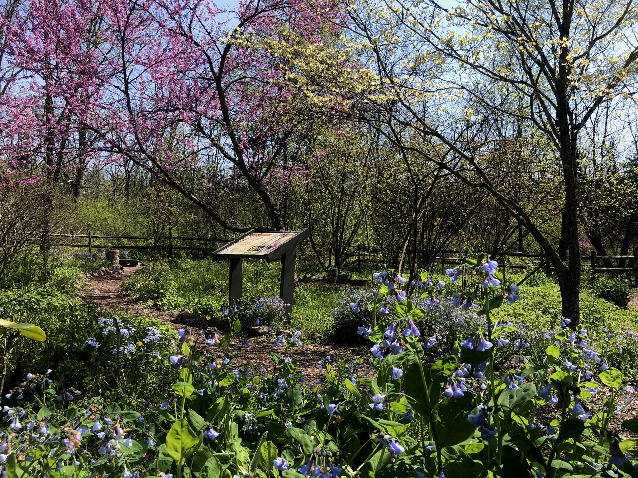 jacobsburg state park