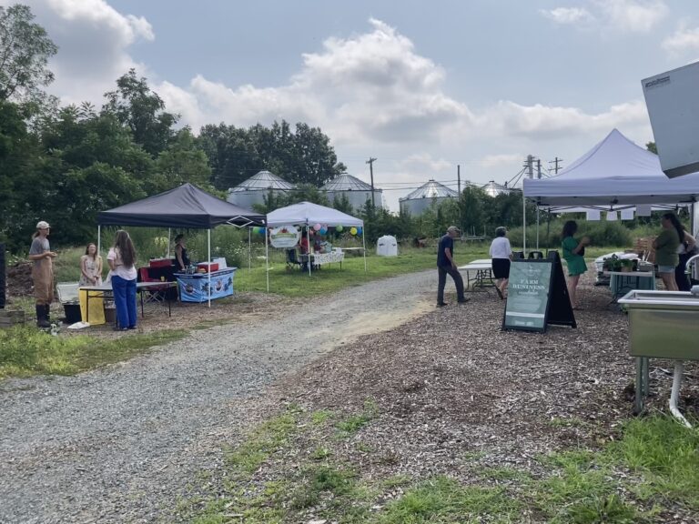 Seed Farm hosts fourth annual plant sale in Emmaus