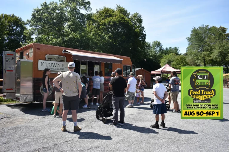 9th annual Lehigh Valley Zoo food truck festival returns Labor Day weekend