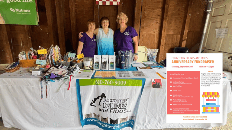 Forgotten Felines and Fidos to host 31st anniversary fundraiser