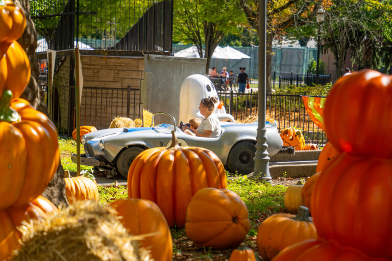 How to celebrate Halloween in the Lehigh Valley