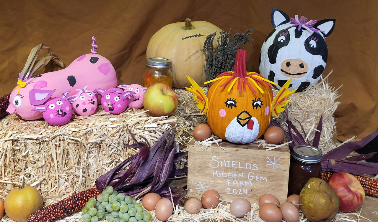 pa agriculture pumpkin contest