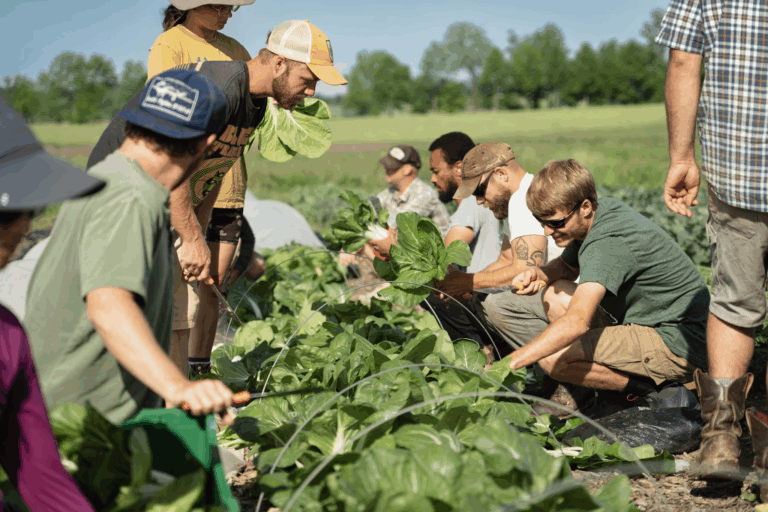 Rodale Institute to host annual ‘Fall on the Farm’ Saturday