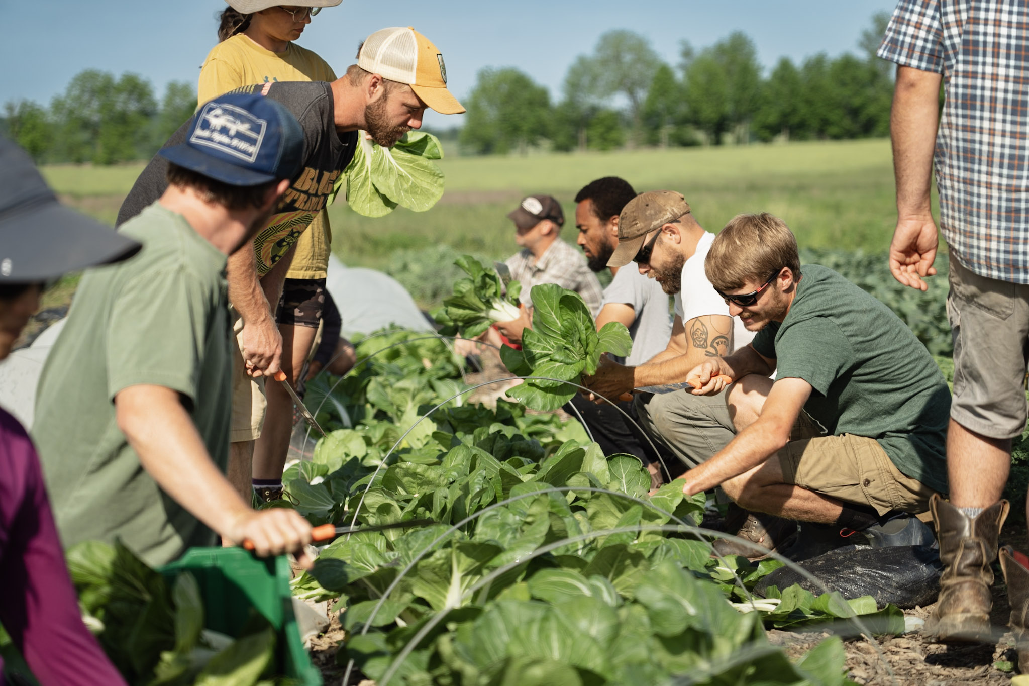 rodale institute fall on the farm kutztown