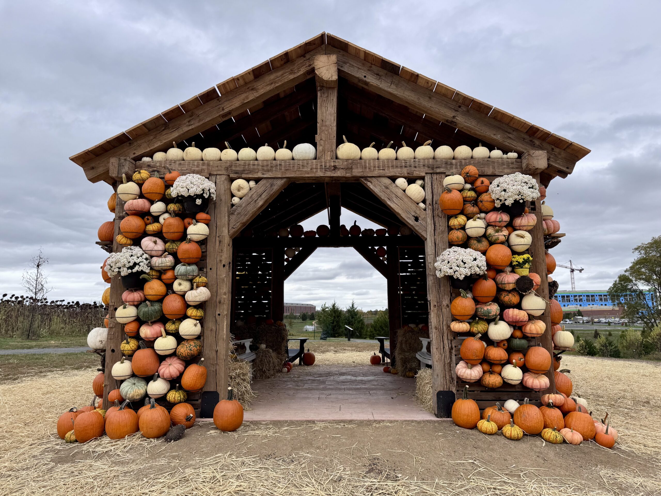 st lukes anderson campus new fall pumpkin decoration barn october 2025