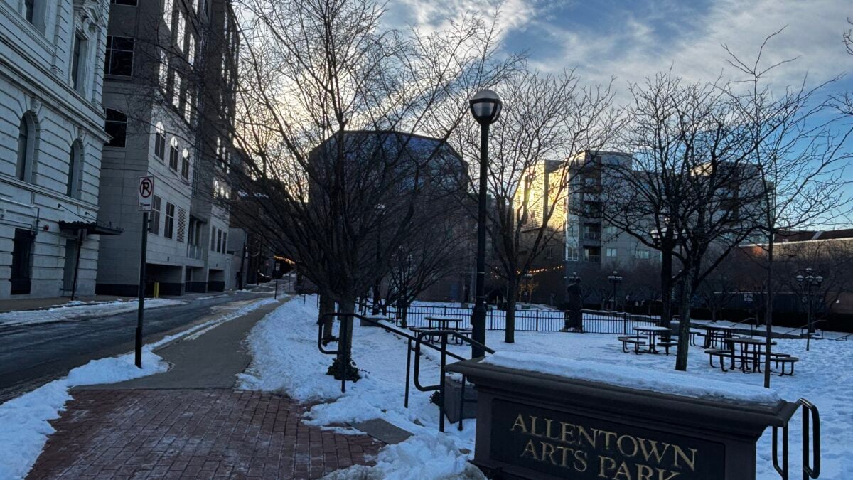 allentown arts park tree plan 2026
