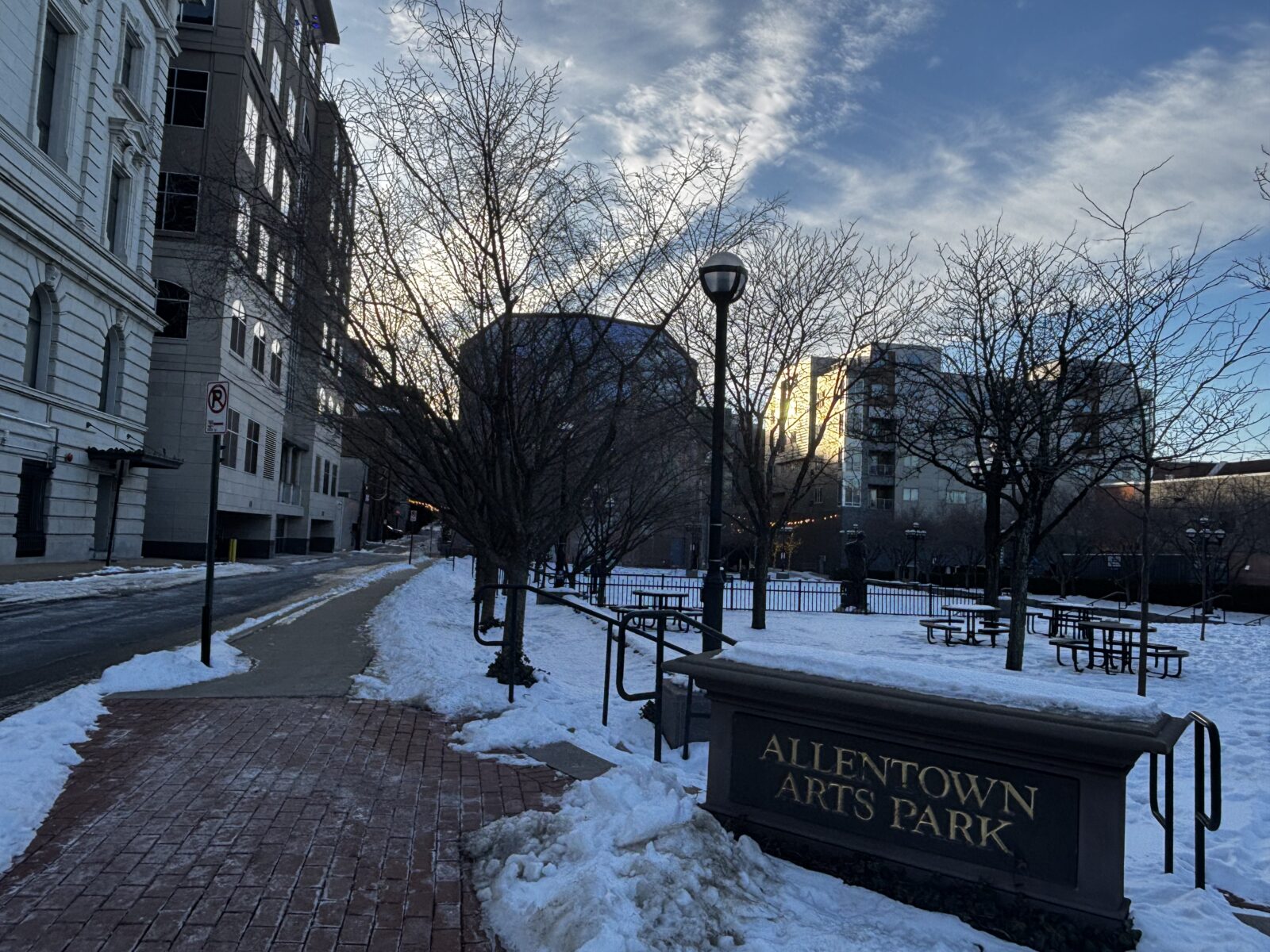 allentown arts park tree plan 2026