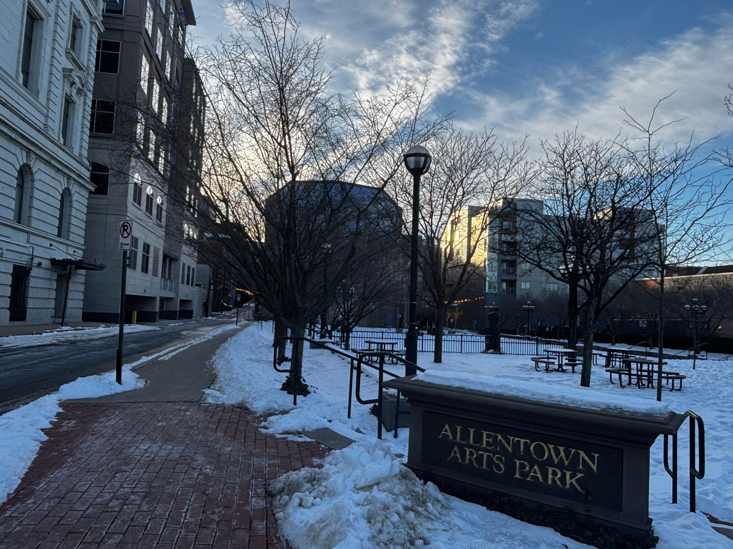 allentown arts park tree plan 2026