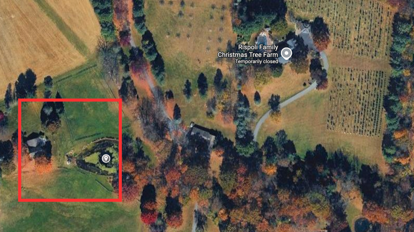 lehigh county police rescue elderly woman from pond 3400 block west walker road walnutport