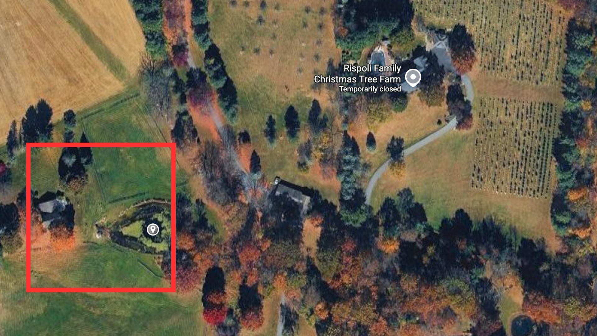 Lehigh Township police, neighbor rescue elderly woman who plunged into frigid pond