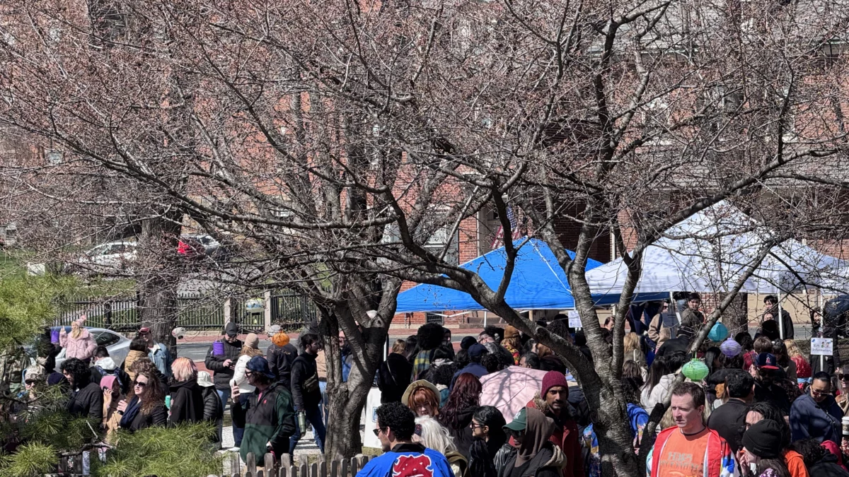 japanese cherry blossom festival bethlehem pa march 28 2026