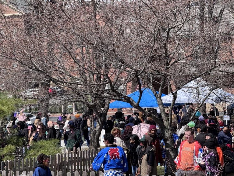 A bridge to Tondabayashi: Bethlehem’s annual Cherry Blossom Festival marks decades of Japanese cultural ties