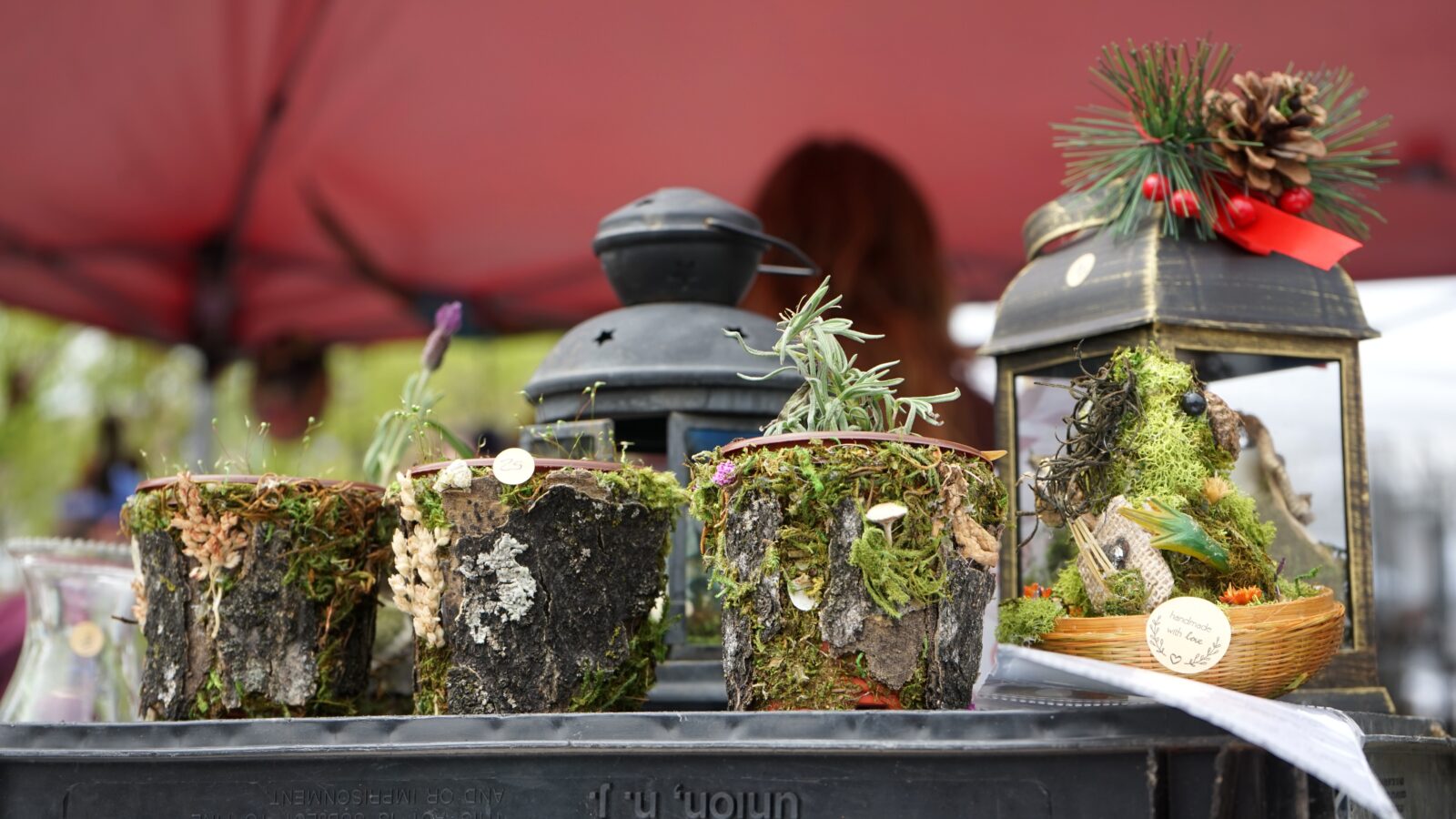 wicked plant fest 6th annual wicked botanist festival steelstacks bethlehem pa
