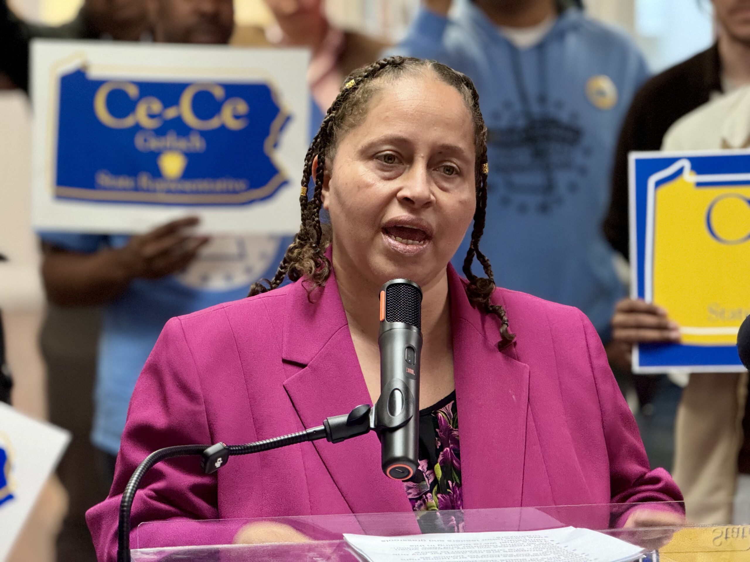 ce-ce gerlach allentown d-22 candidate