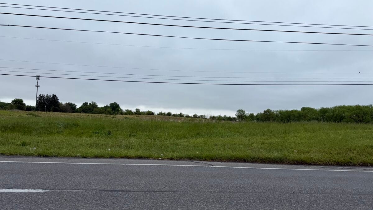 Grassy field with a road, power lines, trees, and a cellular tower.