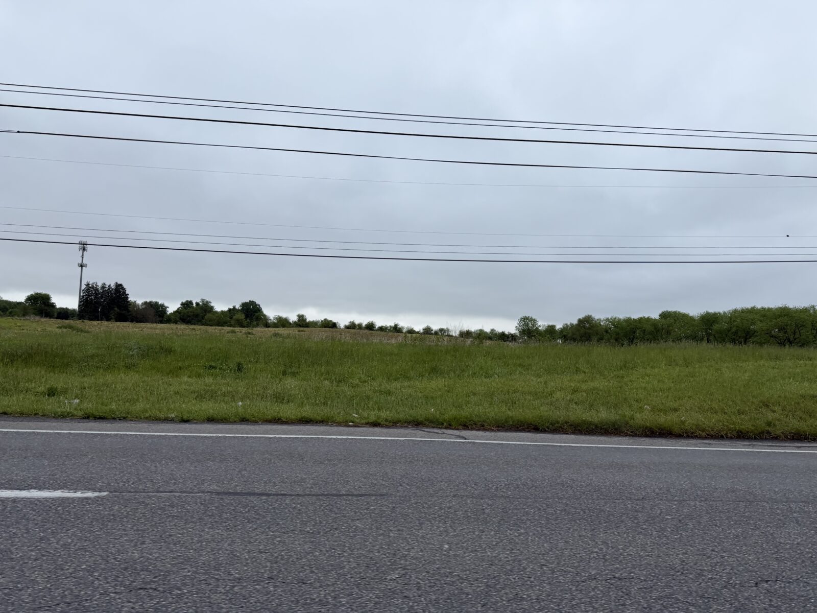 Grassy field with a road, power lines, trees, and a cellular tower.
