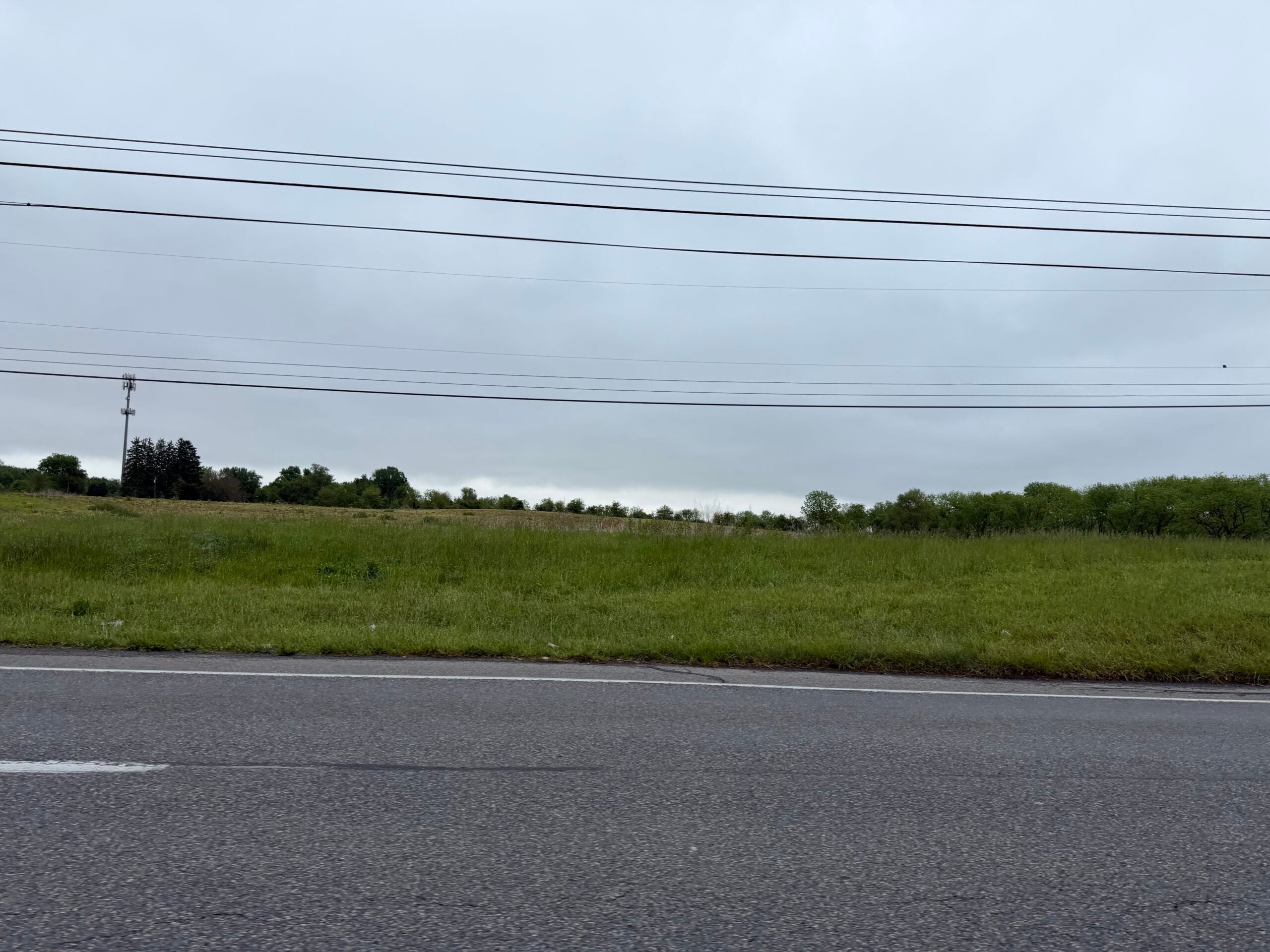 Grassy field with a road, power lines, trees, and a cellular tower.