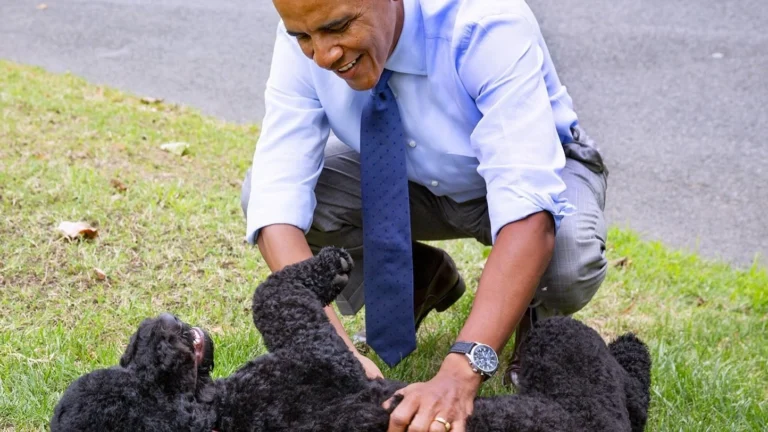 The Obamas say goodbye to Sunny, the White House dog who outlived her second term by nearly a decade