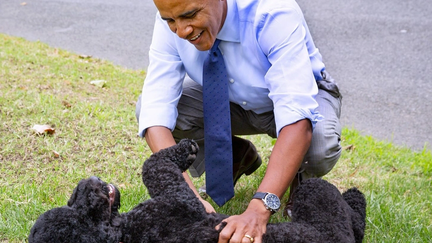 The Obamas say goodbye to Sunny, the White House dog who outlived her second term by nearly a decade